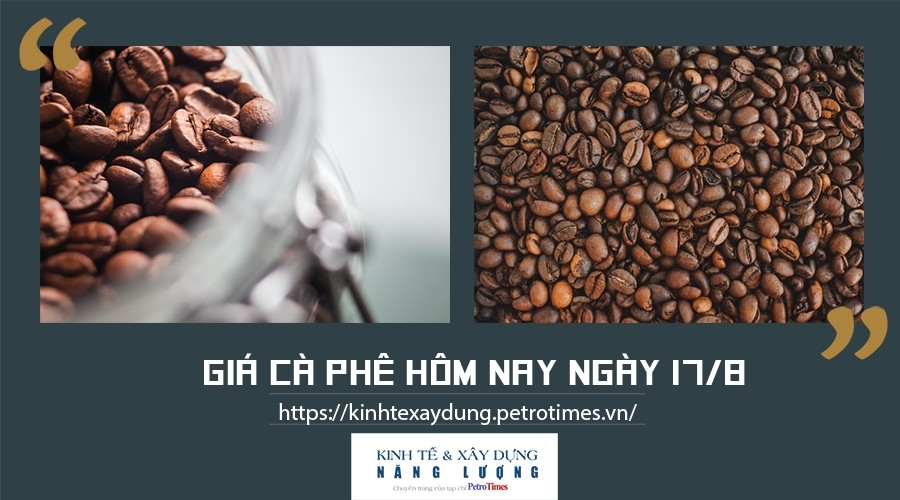 Giá cà phê hôm nay ngày 17/8: Tăng nhẹ 300 đồng/kg