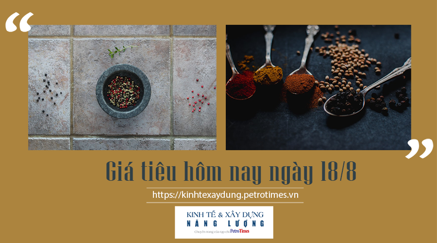 Giá tiêu hôm nay ngày 18/8: Giao dịch trong khoảng 76.000 - 79.000 đồng/kg