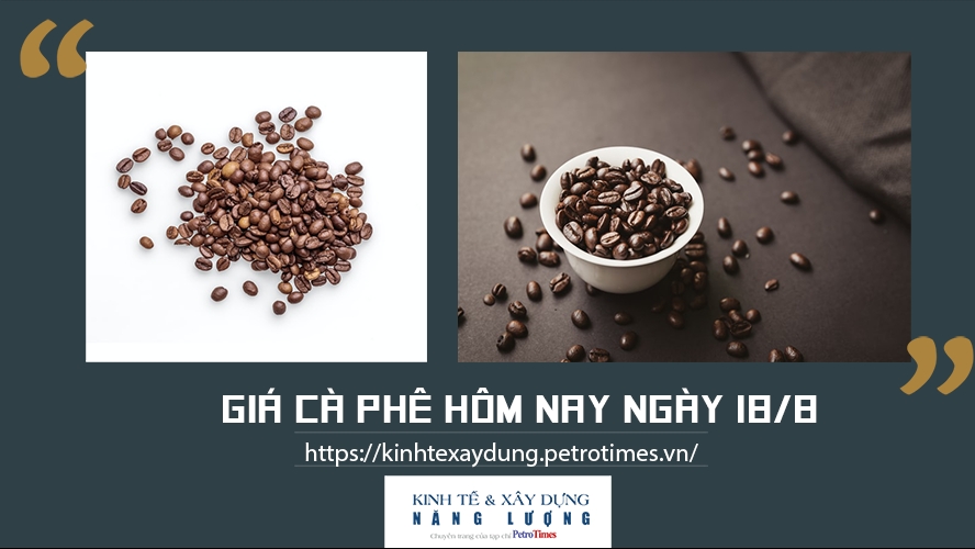 Giá cà phê hôm nay ngày 18/8: Giảm nhẹ theo thị trường thế giới