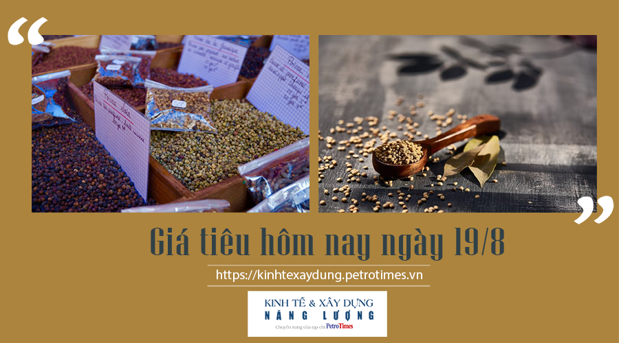 Giá tiêu hôm nay ngày 19/8: Tăng nhẹ trở lại