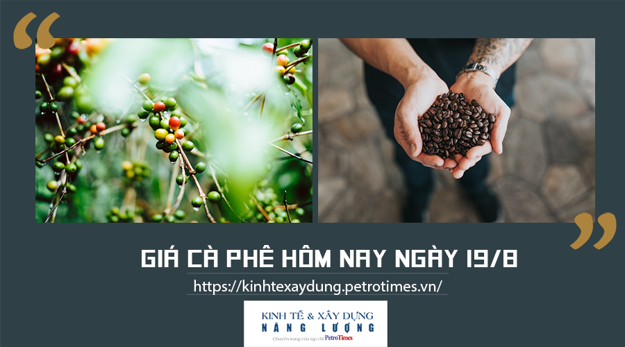 Giá cà phê hôm nay ngày 19/8: Trong nước tăng, cao nhất 38.200 đồng/kg