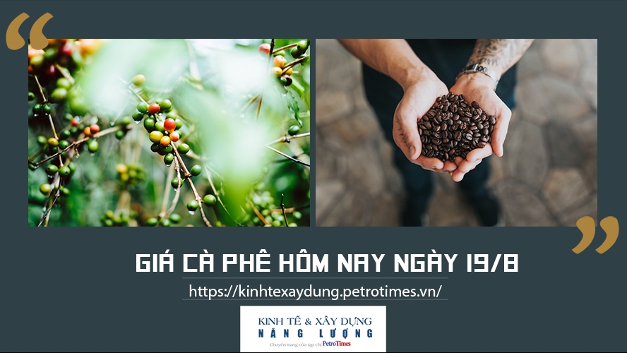 Giá cà phê hôm nay ngày 19/8: Trong nước tăng, cao nhất 38.200 đồng/kg