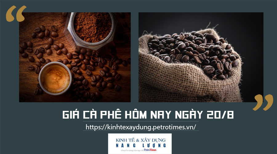 Giá cà phê hôm nay ngày 20/8: Trong nước giảm nhẹ