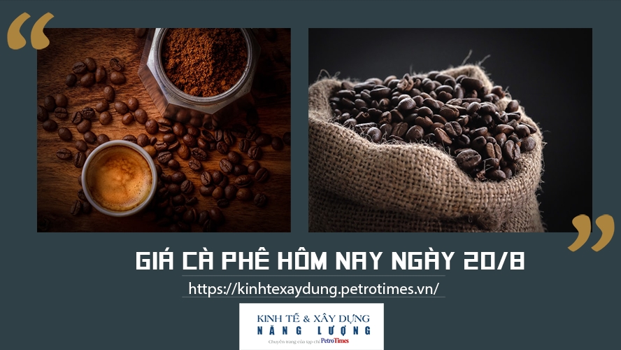 Giá cà phê hôm nay ngày 20/8: Trong nước giảm nhẹ