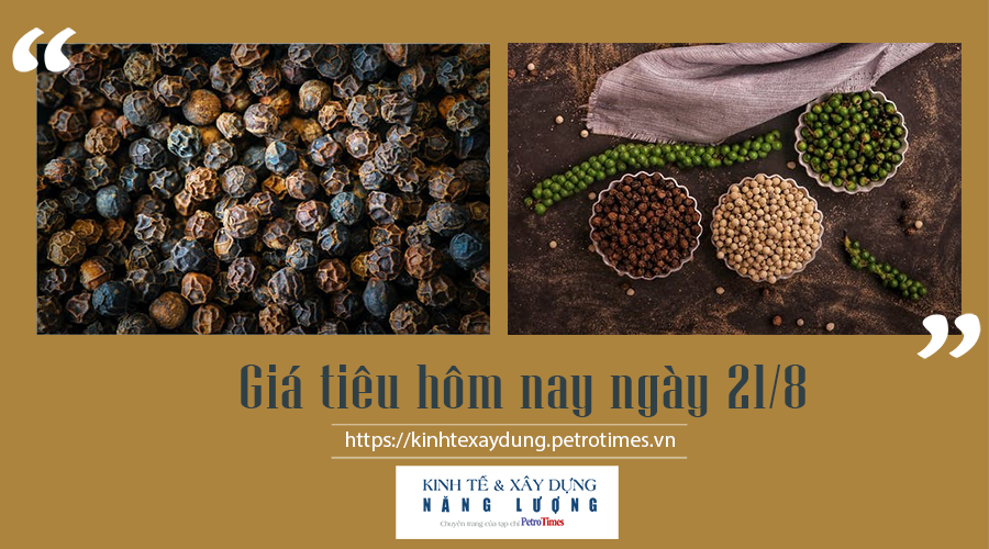 Giá tiêu hôm nay ngày 21/8: Ổn định, cao nhất 79.500 đồng/kg