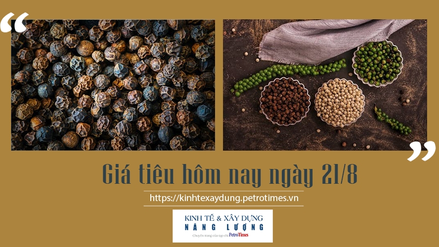 Giá tiêu hôm nay ngày 21/8: Ổn định, cao nhất 79.500 đồng/kg