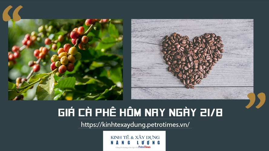 Giá cà phê hôm nay ngày 21/8: Tăng nhẹ, thấp nhất 37.200 đồng/kg