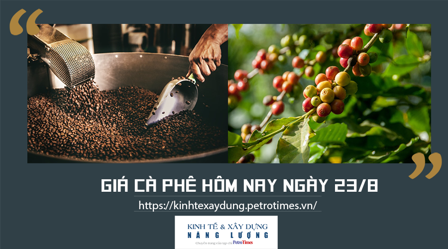 Giá cà phê hôm nay ngày 23/8: Thị trường trong nước ít biến động