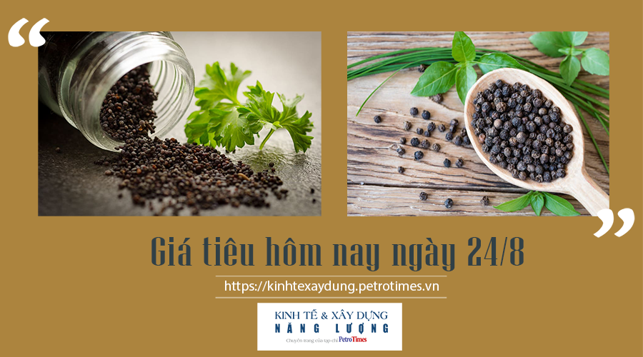 Giá tiêu hôm nay ngày 24/8: Trong nước đồng loạt giảm