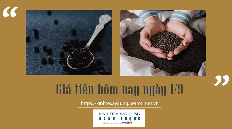 Giá tiêu hôm nay ngày 1/9: Đi ngang, thấp nhất 74.500 đ/kg