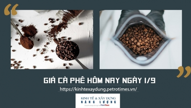 Giá cà phê hôm nay ngày 1/9: Trong nước tăng nhẹ