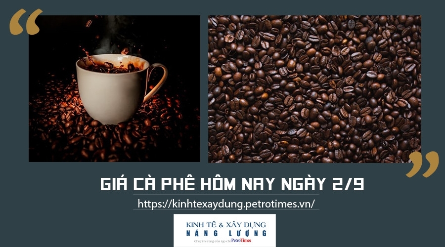 Giá cà phê hôm nay ngày 2/9: Thị trường trong nước tăng nhẹ