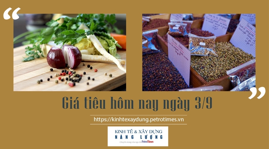 Giá tiêu hôm nay ngày 3/9: Thị trường trong nước ổn định