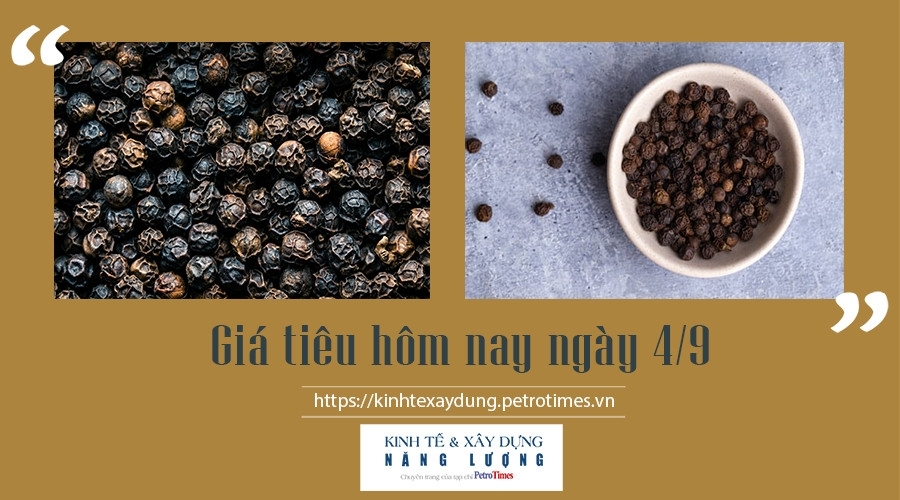 Giá tiêu hôm nay ngày 4/9: Thị trường trong nước giảm nhẹ