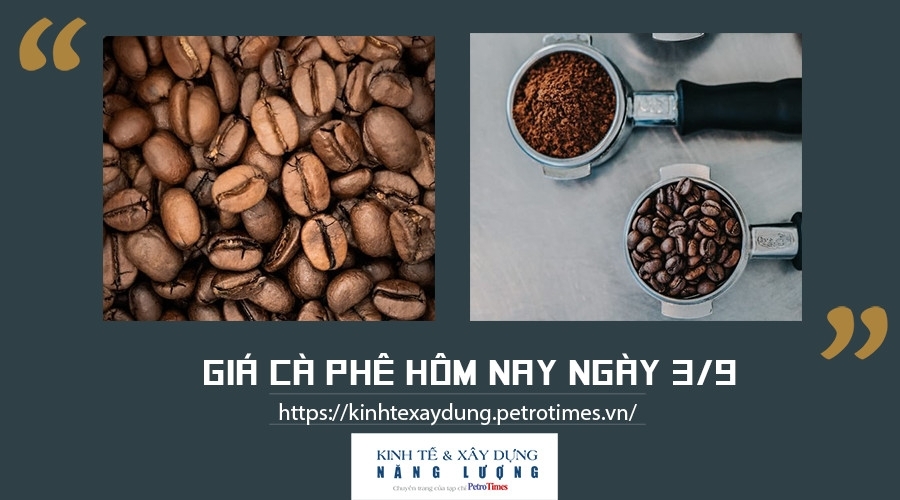 Giá cà phê hôm nay ngày 4/9: Thị trường thế giới diễn biến trái chiều