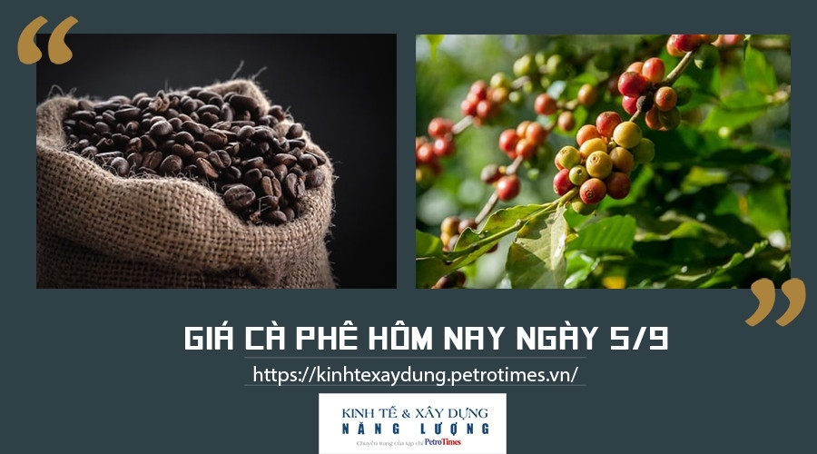 Giá cà phê hôm nay ngày 5/9: Tăng nhẹ