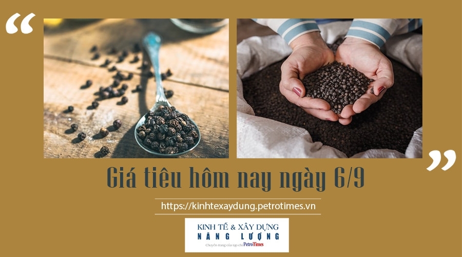 Giá tiêu hôm nay ngày 6/9: Vẫn ở mức thấp