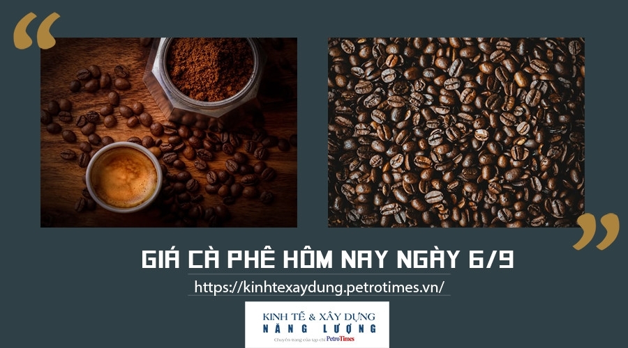 Giá cà phê hôm nay ngày 6/9: Robusta và Arabica biến động trái chiều