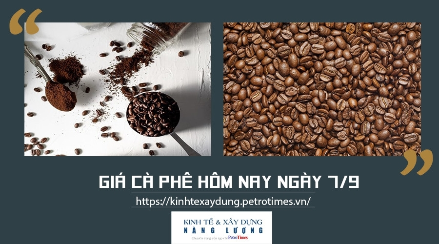 Giá cà phê hôm nay ngày 7/9: Điều chỉnh nhẹ tại một số vùng trọng điểm