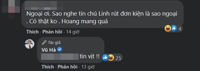 Vũ Hà lên tiếng trước nghi vấn Hoài Linh đã rút đơn kiện nữ CEO Đại Nam