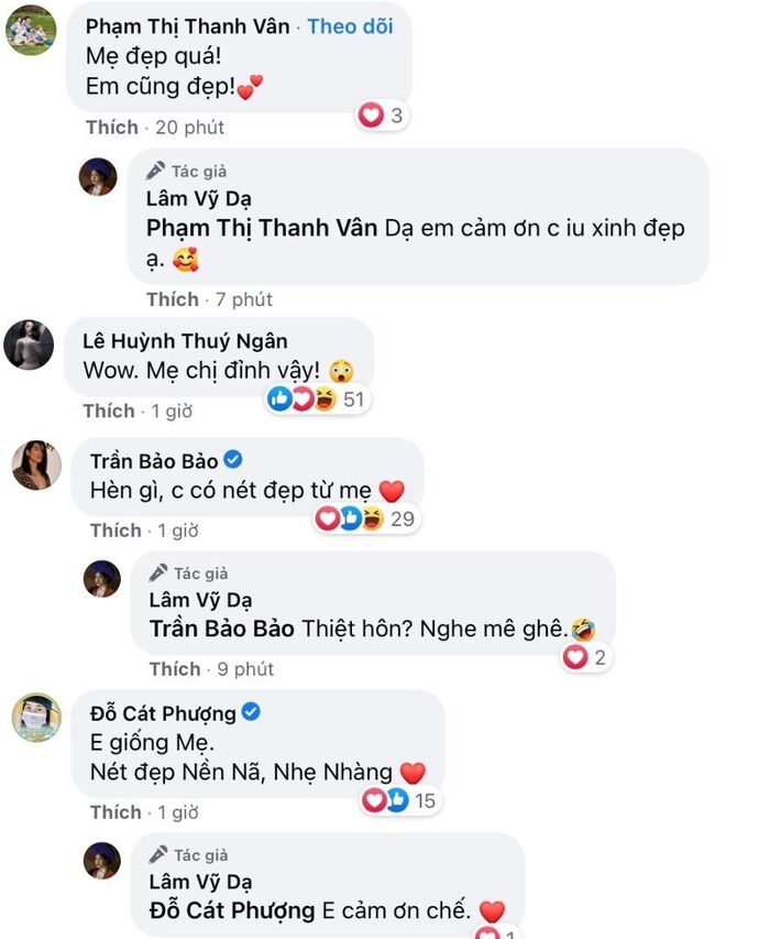 Netizen và dàn sao Việt bất ngờ trước nhan sắc thời trẻ của mẹ Lâm Vỹ Dạ