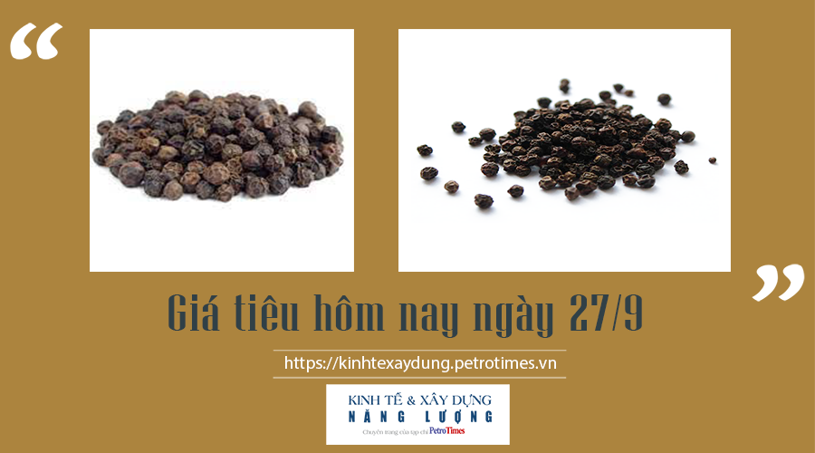 Giá tiêu hôm nay ngày 27/9: Thị trường trong nước biến động nhẹ