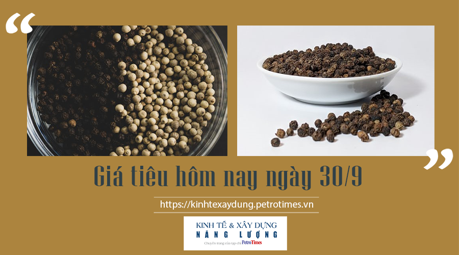 Giá tiêu hôm nay ngày 30/9: Giao dịch ảm đạm