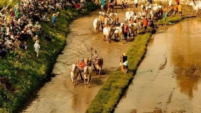 Trại buôn người đưa bối cảnh vùng biên giới miệt vườn miền Tây lên màn ảnh rộng