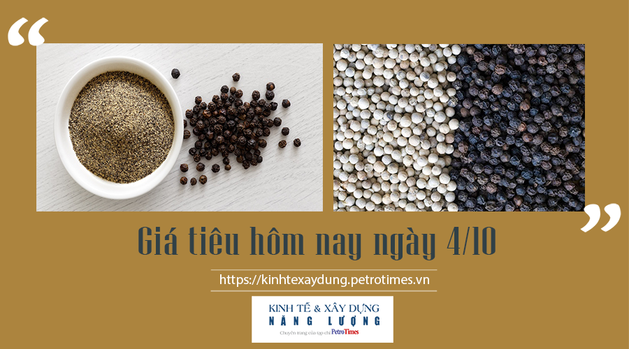 Giá tiêu hôm nay ngày 4/10: Tăng nhẹ 500 đồng/kg