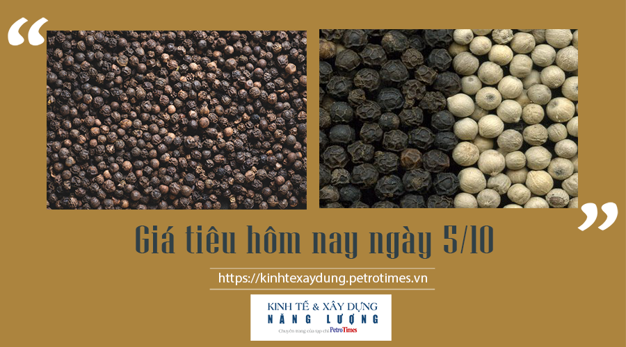 Giá tiêu hôm nay ngày 5/10: Cao nhất 82.000 đồng/kg