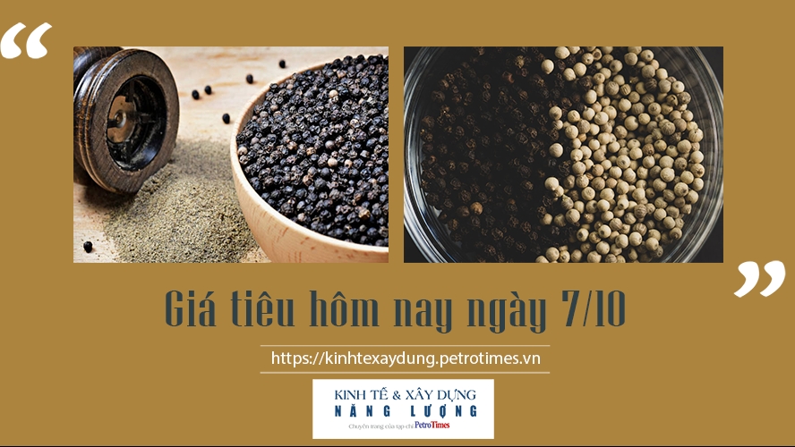 Giá tiêu hôm nay ngày 7/10: Giao dịch ổn định