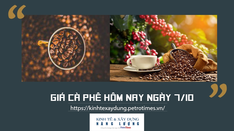 Giá cà phê hôm nay ngày 7/10: Cao nhất 40.200 đồng/kg