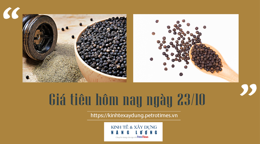 Giá tiêu hôm nay ngày 23/10: Trong nước tiếp tục giảm