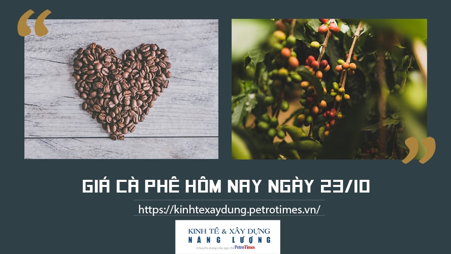 Giá cà phê hôm nay ngày 23/10: Thị trường thế giới tiếp tục biến động trái chiều