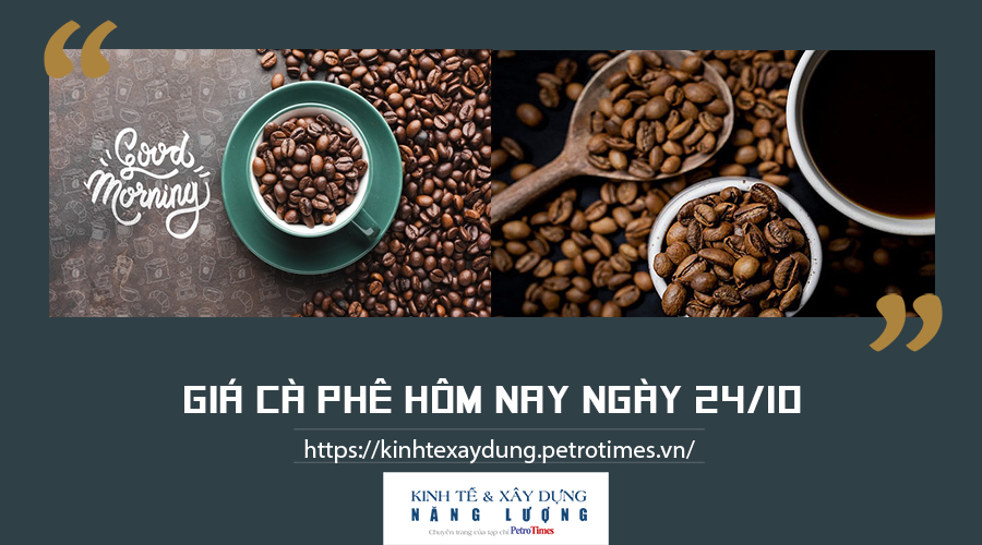 Giá cà phê hôm nay ngày 24/10: Duy trì đà tăng tại các vùng trọng điểm