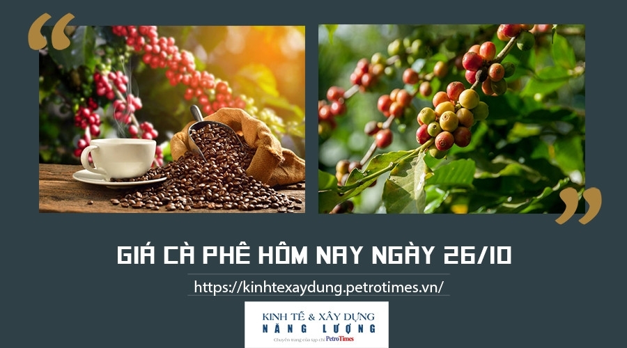 Giá cà phê hôm nay ngày 26/10: Tăng mạnh trên thị trường thế giới