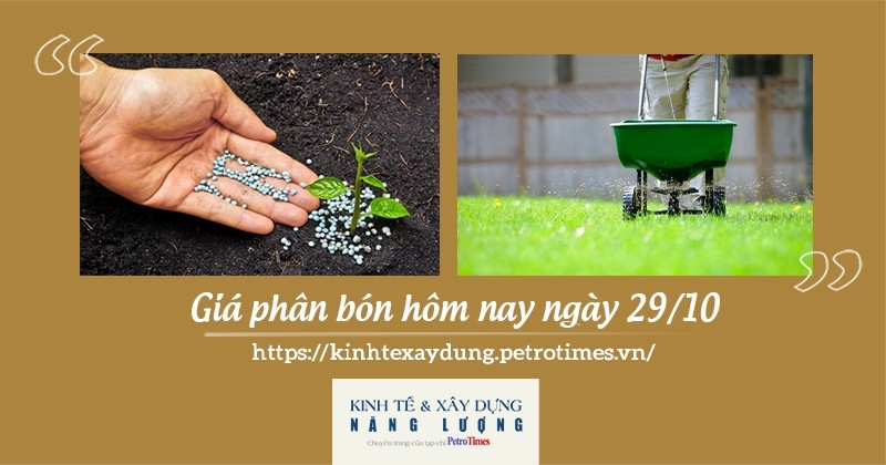 Giá phân bón hôm nay ngày 29/10: Chưa có biến động