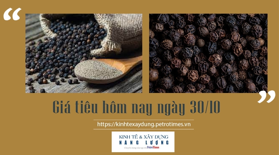 Giá tiêu hôm nay 30/10: Tiếp tục tăng mạnh