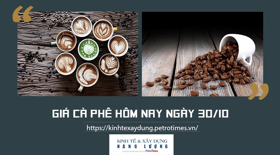 Giá cà phê hôm nay 30/10: Lấy lại đà tăng