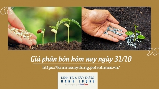 Giá phân bón hôm nay 31/10: Duy trì ổn định