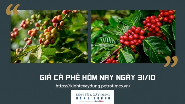 Giá cà phê hôm nay 31/10: Tăng mạnh trên thị trường thế giới