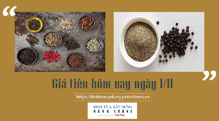 Giá tiêu hôm nay 1/11: Kỳ vọng trong tháng 11 giá lập 95.000 đồng/kg