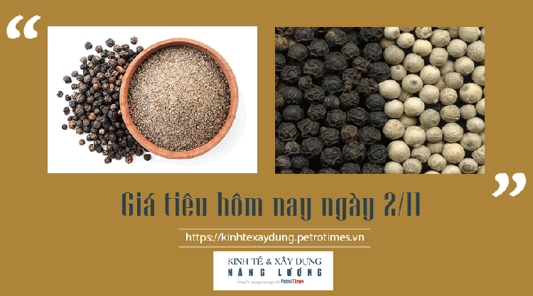 Giá tiêu hôm nay 2/11: Giữ ổn định và thậm chí bứt phá mạnh