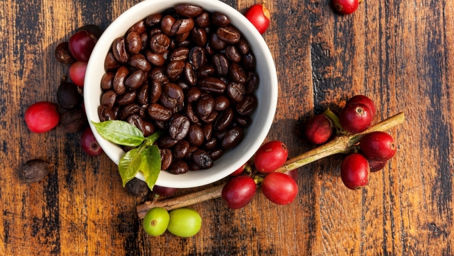 Giá cà phê hôm nay 20/11: Sắc xanh trở lại trên thị trường quốc tế