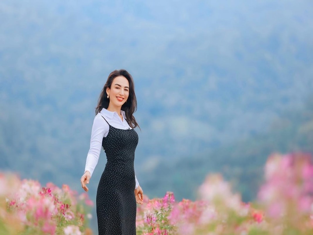 Hari Won, Việt Trinh và loạt sao đăng ký hiến tạng Hari Won, Việt Trinh và loạt sao đăng ký hiến tạng
