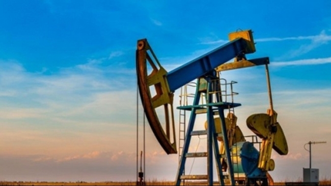 Giá xăng dầu hôm nay 1/12: Giá dầu giảm sâu sau phát biểu của CEO Moderna