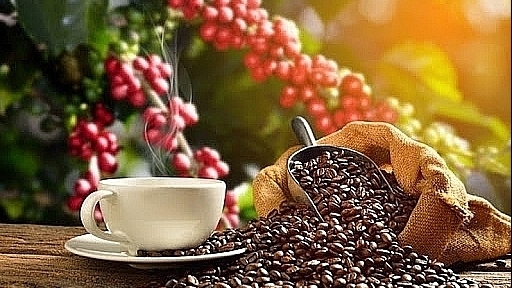 Giá cà phê hôm nay ngày 24/12: Diễn biến trái chiều