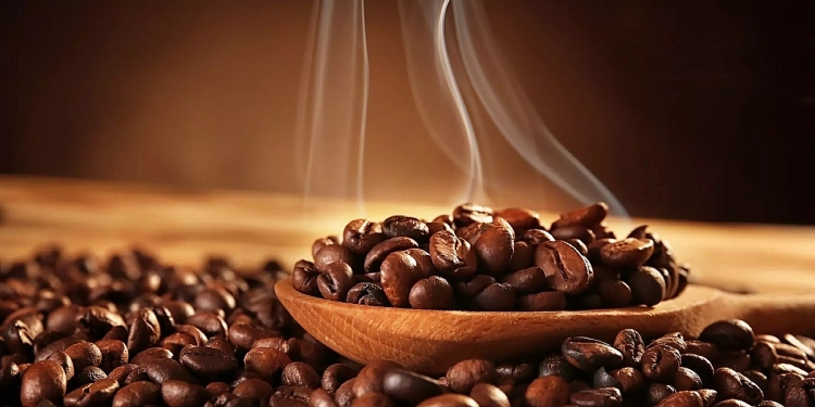 Giá cà phê hôm nay ngày 27/12: Thị trường trong nước bắt đầu nhộn nhịp