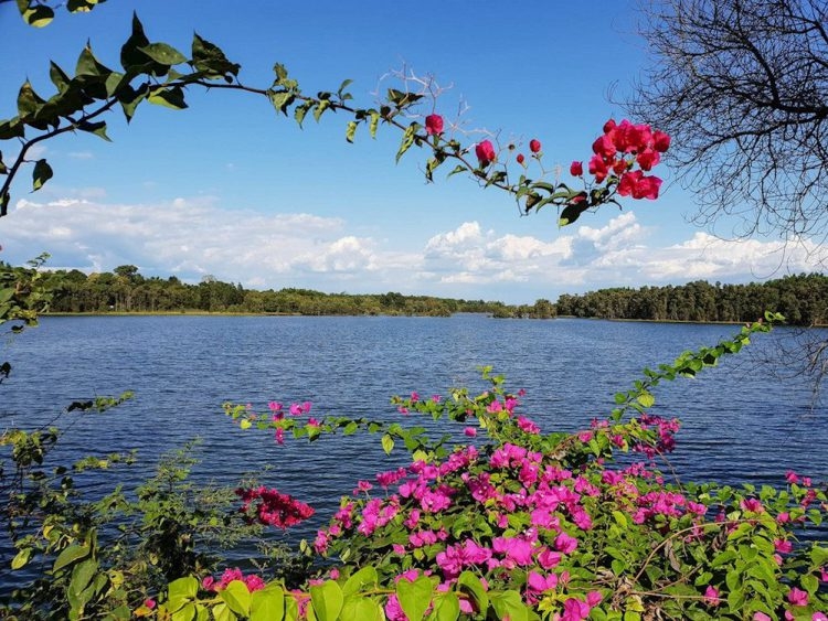 Tận hưởng cảnh sắc thiên nhiên yên bình tại hồ Trị An