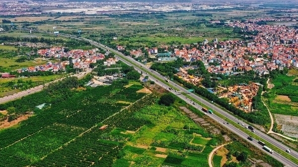 Tin bất động sản ngày 19/6: Đấu giá 199 lô đất ở Nam Định, khởi điểm từ 2 triệu đồng/m2